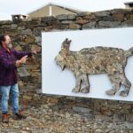 Sul Informação - Há três linces para visitar nas aldeias de Giões, Pereiro e Furnazinhas