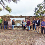 Sul Informação - Há três linces para visitar nas aldeias de Giões, Pereiro e Furnazinhas