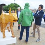 Sul Informação - Há três linces para visitar nas aldeias de Giões, Pereiro e Furnazinhas