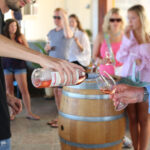 Sul Informação - Autocarro Hop On Hop Off vai levá-lo a provar vinhos pelo Algarve 