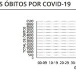 Sul Informação - Covid-19: Algarve volta a não ter óbitos, novos casos no país com mínimo de meses