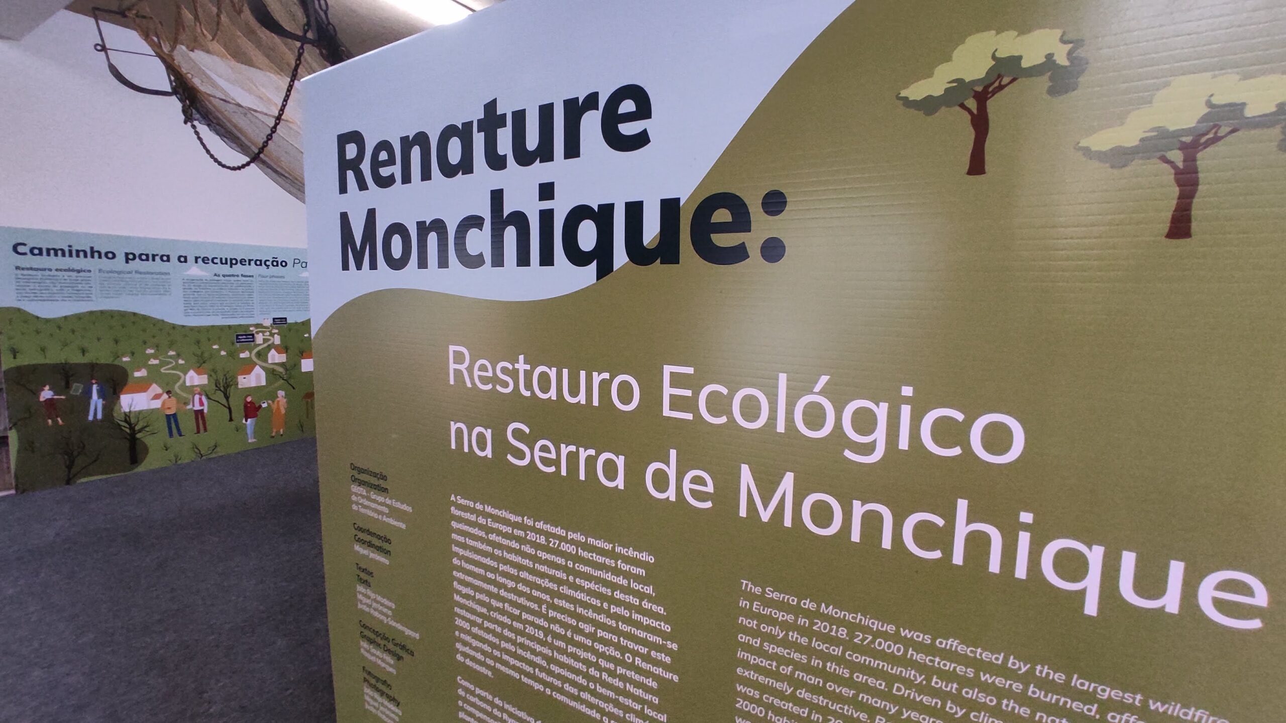 Sul Informação - Sede do Parque Natural da Ria Formosa acolhe exposição “Renature Monchique”