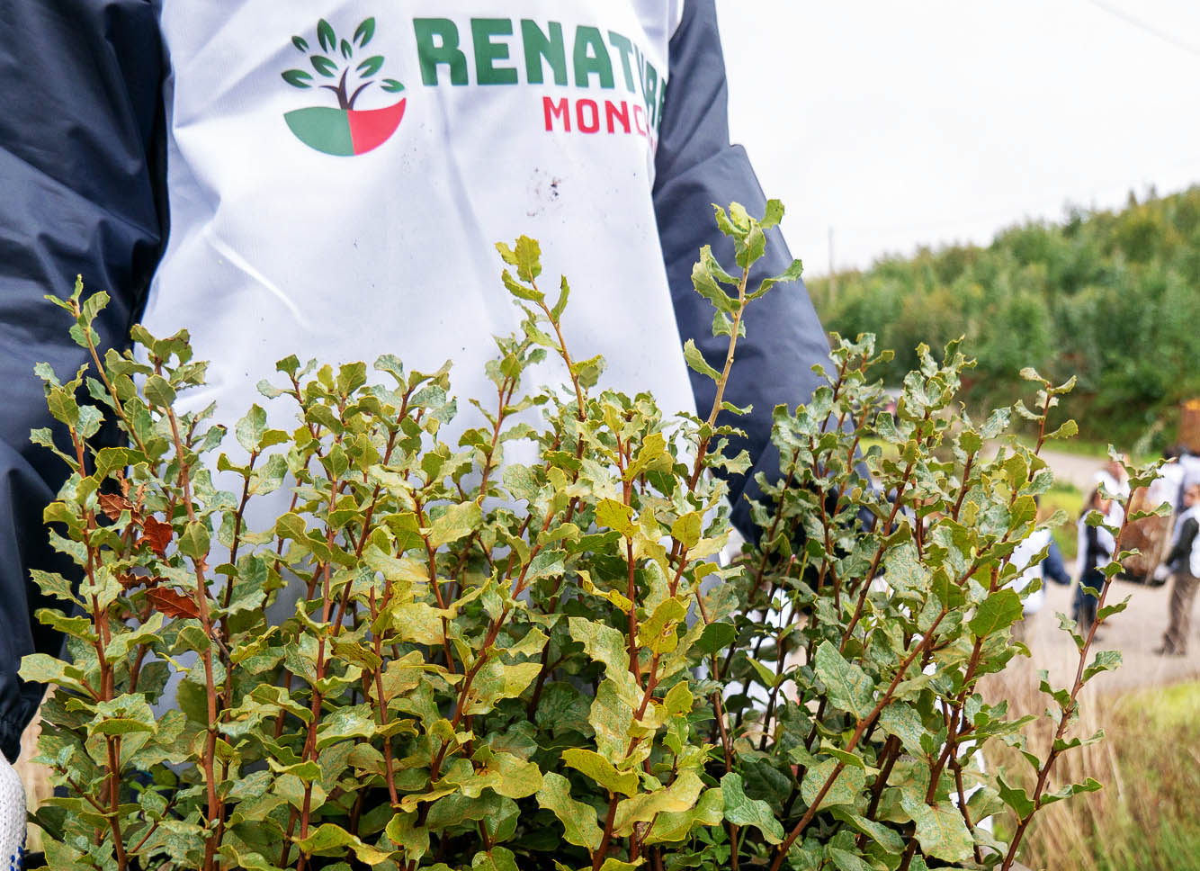 Sul Informação - Renature Monchique «já deixou uma marca» na serra e nas suas gentes