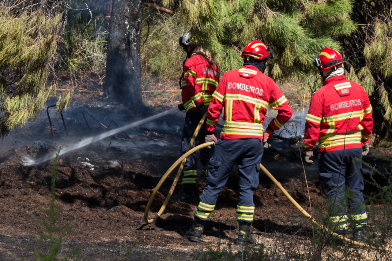 Sul Informação - Bombeiros e helicóptero dominam incêndio em Gambelas [com fotos]