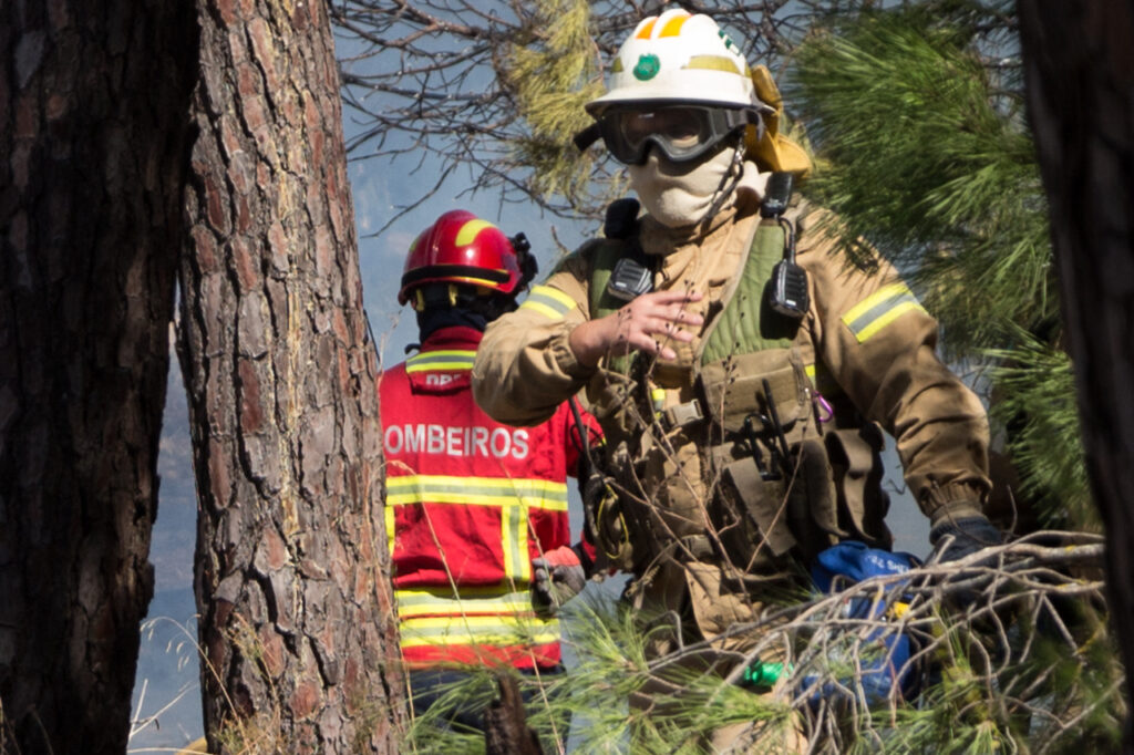 Sul Informação - Incêndio de Vale de Santiago já está em conclusão