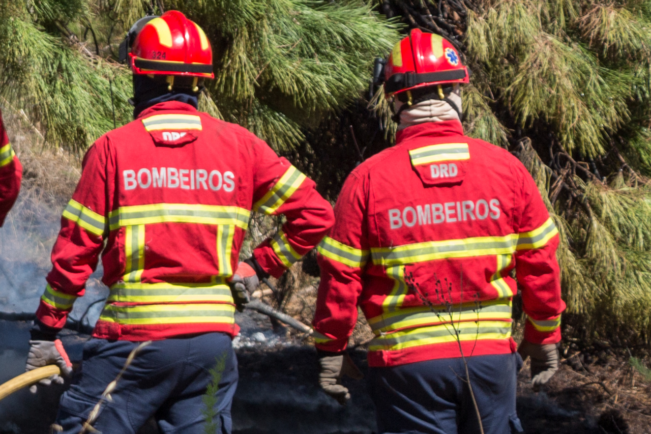 Sul Informação - Bombeiros e helicóptero dominam incêndio em Gambelas [com fotos]