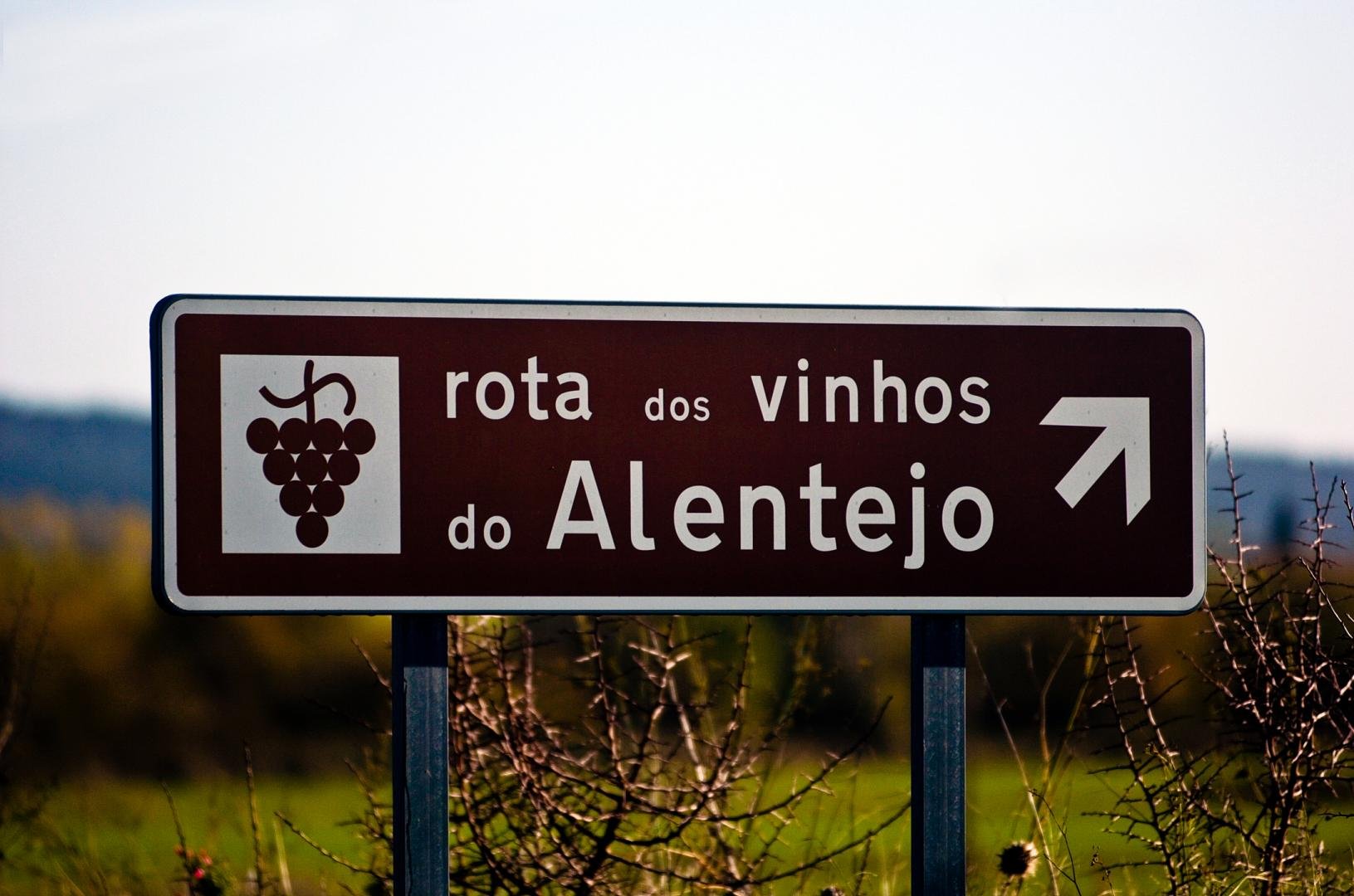 Sul Informação - Vindimas já começaram e há muito para explorar no Alentejo