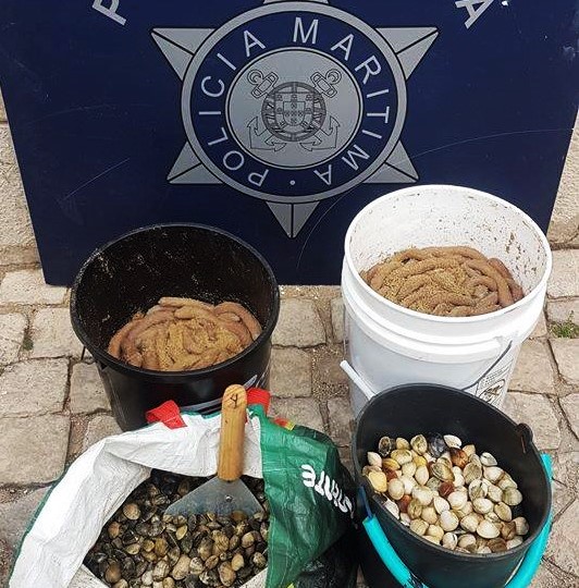 Sul Informação - 25 quilos de “salsicha” apreendidos na Ria Formosa