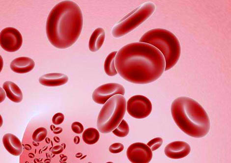 Sul Informação - Centro Hospitalar do Barlavento Algarvio é autossuficiente nas suas reservas de sangue