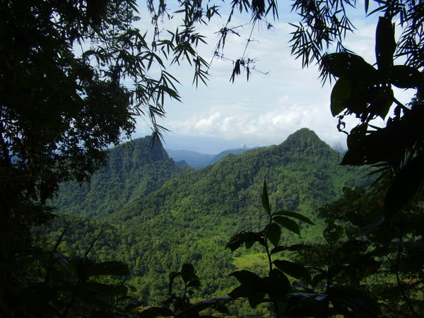 Sul Informação - Biodiversidade das ilhas é mais bem conservada em paisagens inacessíveis