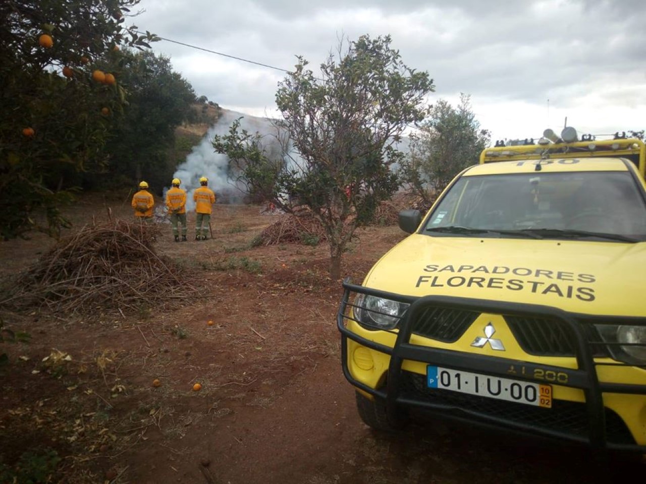 Sul Informação - Portimão investe mais de meio milhão na prevenção e combate a incêndios