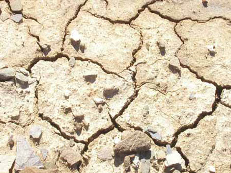 Sul Informação - Alterações climáticas: Portugal é o 3º país com melhor desempenho entre os 58 mais industrializados