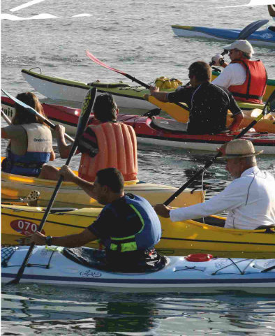 Sul Informação - Subida Internacional do Rio Arade em Canoagem é no próximo sábado