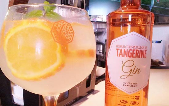 Sul Informação - Uma Beta Talk para falar de um gin algarvio com cheirinhos regionais