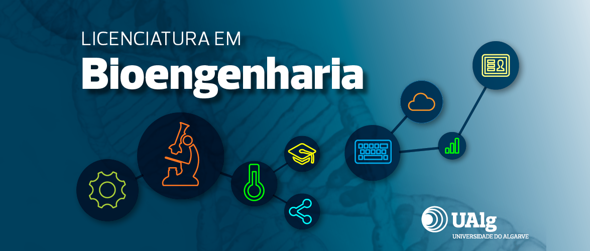 Sul Informação