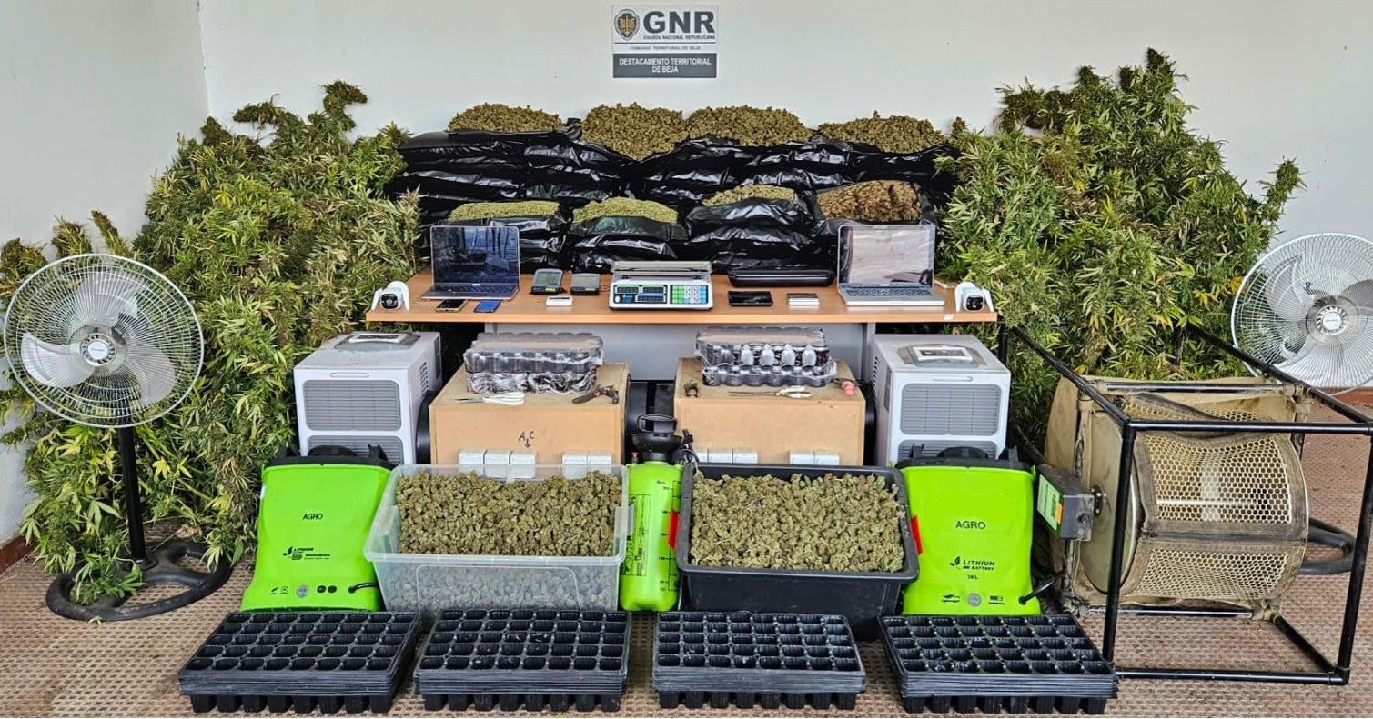 Sul Informação - GNR detém cinco suspeitos de tráfico e cultivo de droga em Beja