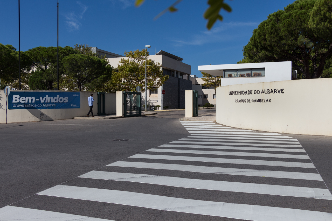 Sul Informação - Universidade do Algarve volta a ter taxa de colocação superior à média e esgota 35 cursos