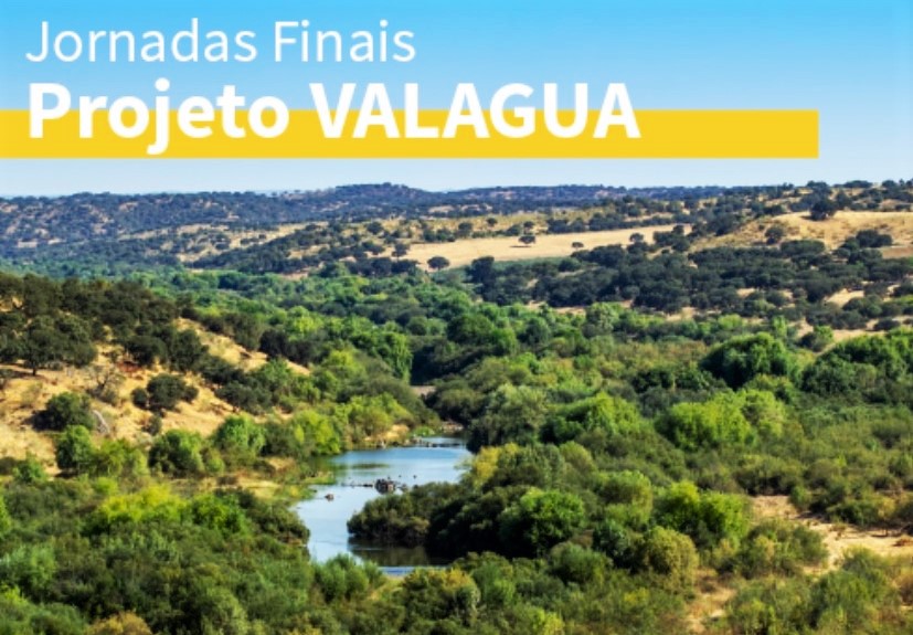 Sul Informação - Projeto Valagua dá a conhecer resultados alcançados