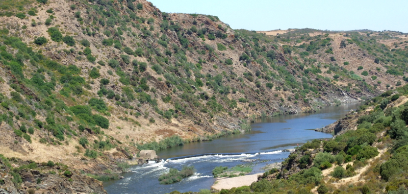 Sul Informação - Fundo Ambiental, ICFN e Mértola assinam protocolo de Cogestão do Parque Natural do Vale do Guadiana