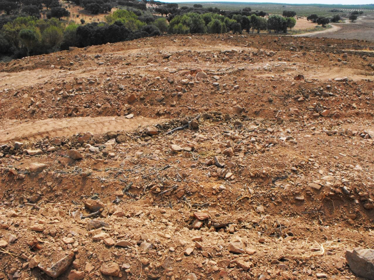 Sul Informação - DRCAlentejo apresenta queixa crime contra destruição de património na Herdade da Negaça