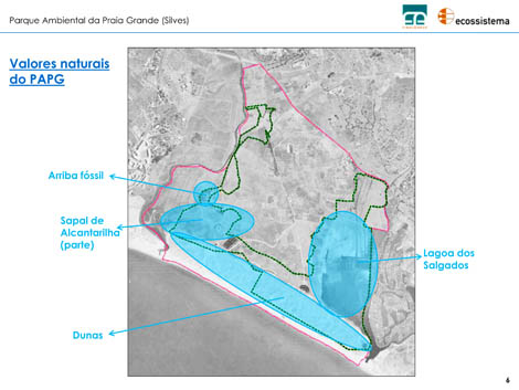 Sul Informação - O que prevê o Parque Ambiental da Praia Grande