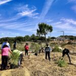 Sul Informação - Empreendimento Terras da Verdelago plantou 200 árvores no Dia Mundial da Biodiversidade