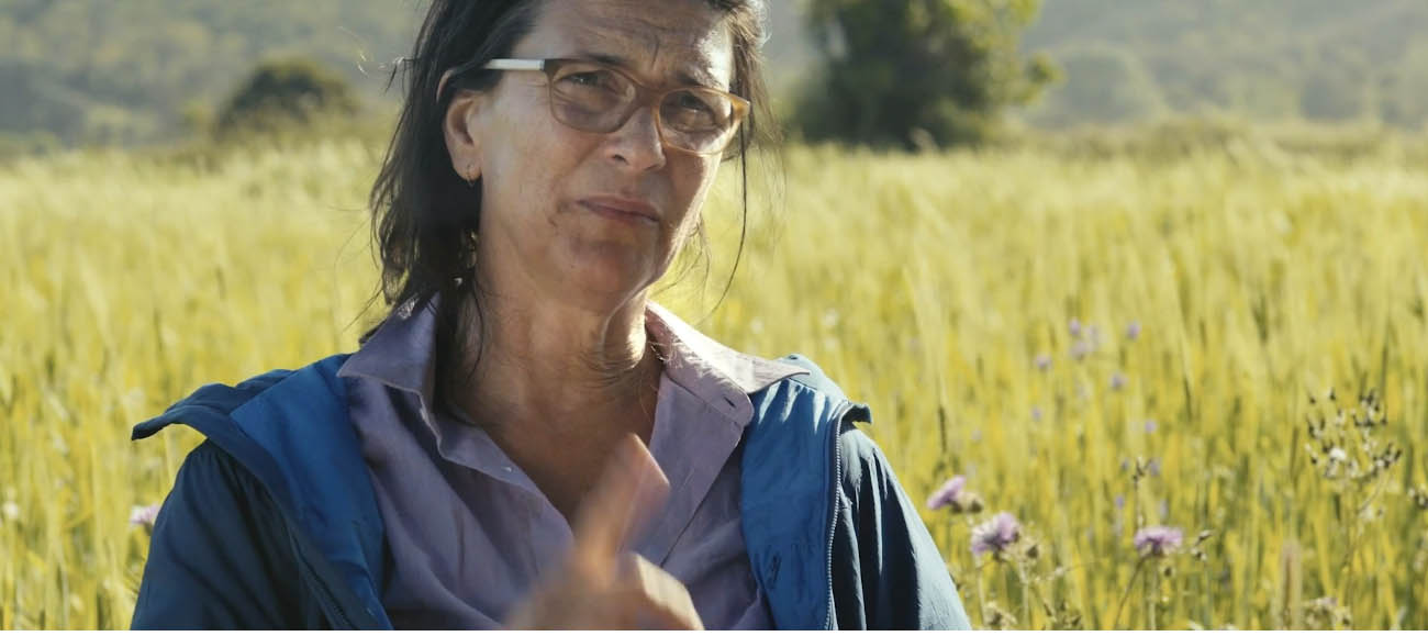 Sul Informação - Novo vídeo promocional da Rota Vicentina sobre turismo sustentável está entre os finalistas da ATTA