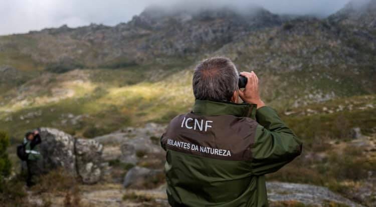 Sul Informação - Algarve e Alentejo vão receber 9 novos vigilantes da natureza