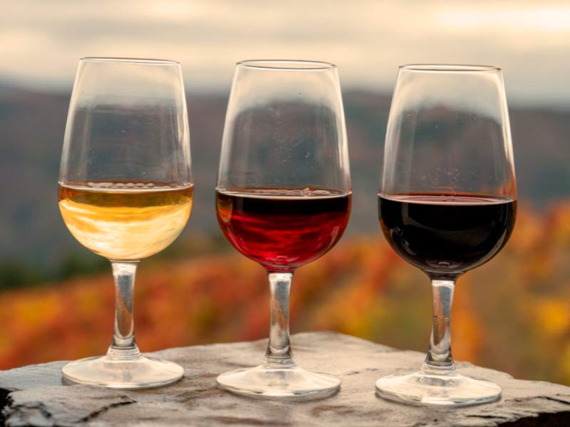 Sul Informação - Taxas sobre vinho resultam em processo da Comissão Europeia a Portugal