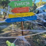 Sul Informação - “Ambienta-te” levou crianças de VRSA ao Parque do Cameleão
