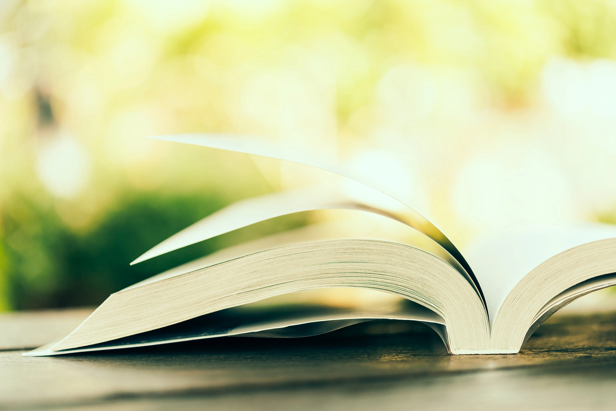 Sul Informação - E por falar em livros… as novidades de Janeiro