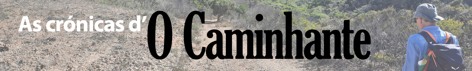 Sul Informação