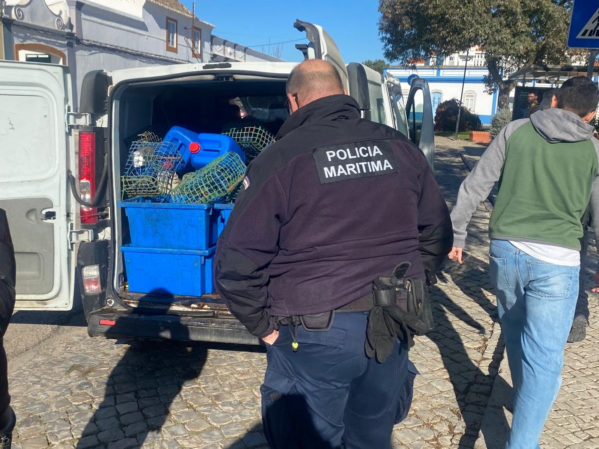 Sul Informação - Mais 336 quilos de polvo apreendidos em Tavira