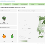 Sul Informação - Projeto “Heróis da Fruta” aumenta lanches escolares mais nutritivos em 24,7% no Algarve