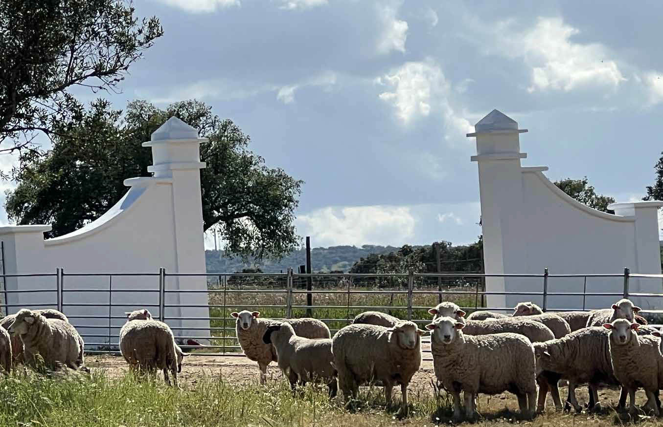 Sul Informação - Projeto algarvio “A Cozinha é uma Farmácia” dá-se a conhecer na Herdade da Vinagra em Viana do Alentejo