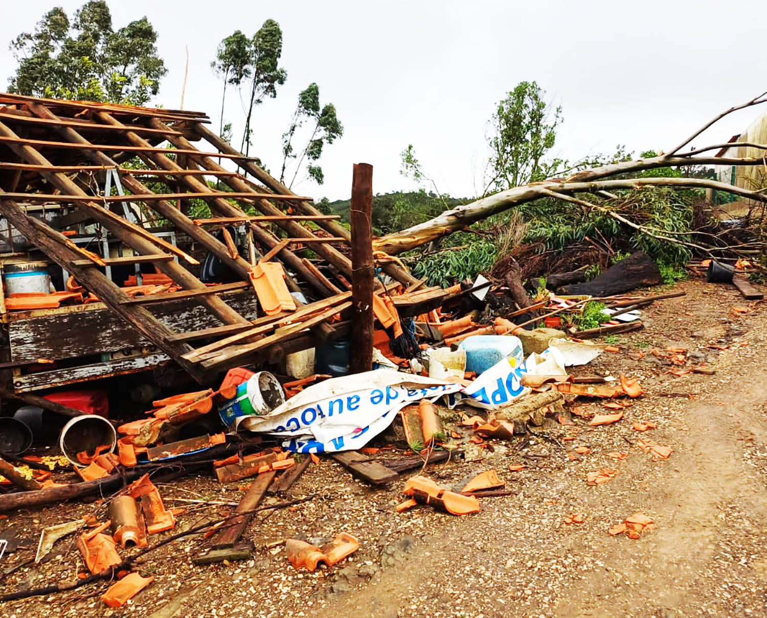 Sul Informação - Tornado (ou tornados) provocam estragos «não muito graves» de Ferragudo a Messines
