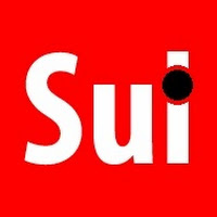 Sul Informação