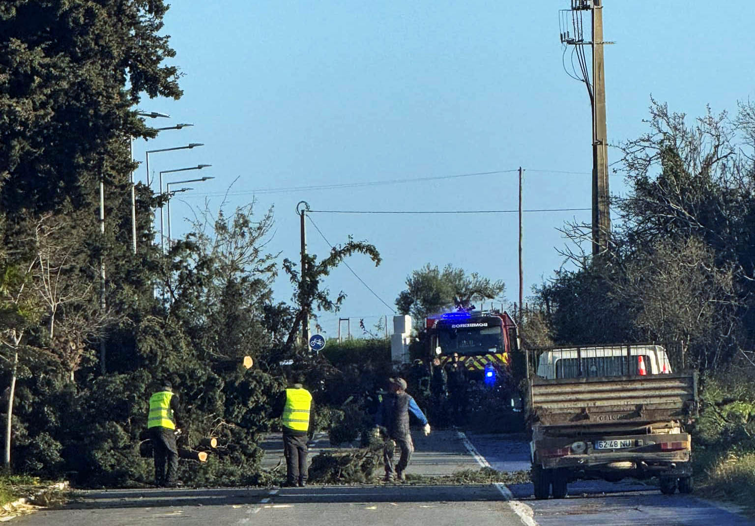 Sul Informação - Vento provoca 37 ocorrências no Algarve, na sua maioria quedas de árvores