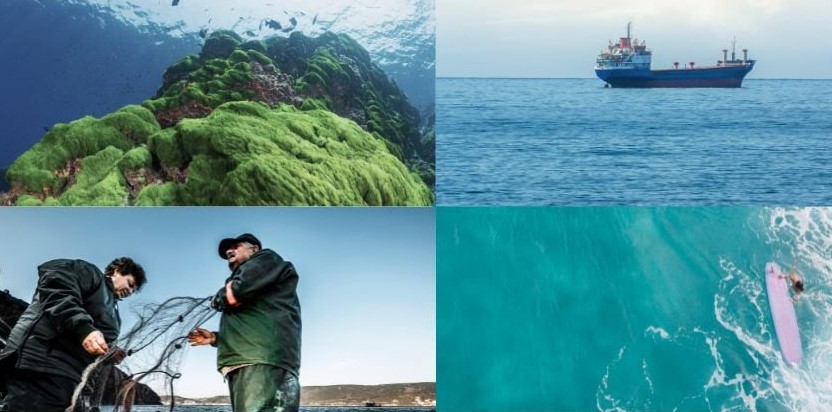 Sul Informação - Economia do Mar é tema de mais uma sessão do Teia d’Ideias