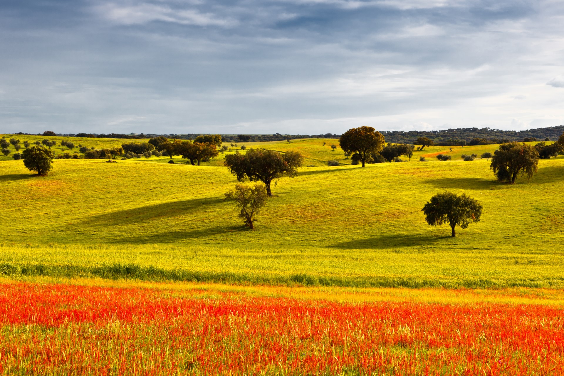 Sul Informação - Alentejo 2030 apoia estratégia para promover o desenvolvimento rural em 15 municípios