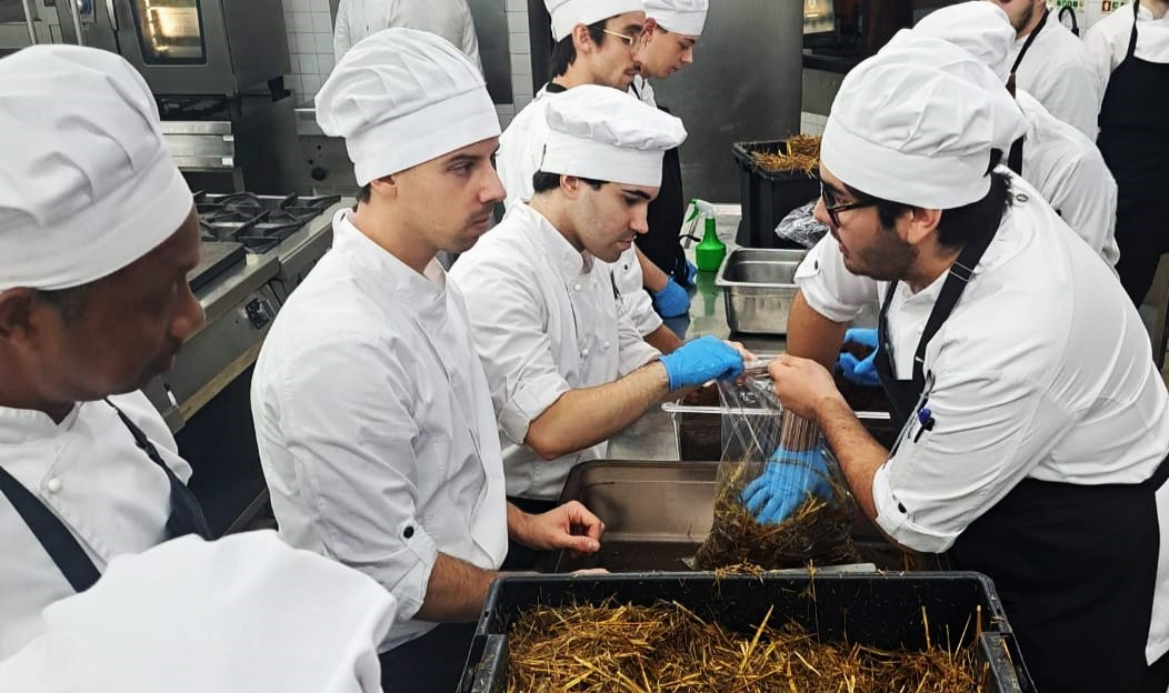 Sul Informação - Escola de Hotelaria e Turismo produz cogumelos biológicos