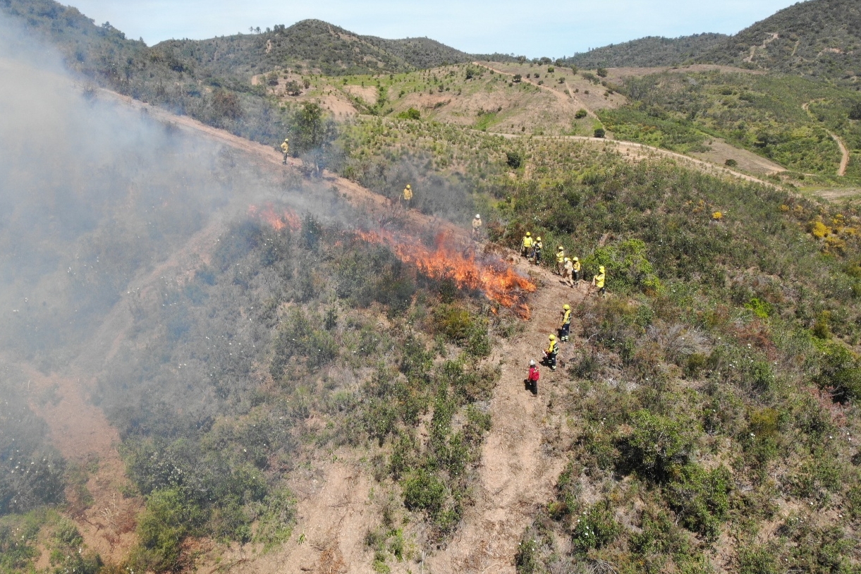 Sul Informação - Exercício com fogo na Amendoeira testou Loulé para época de incêndios