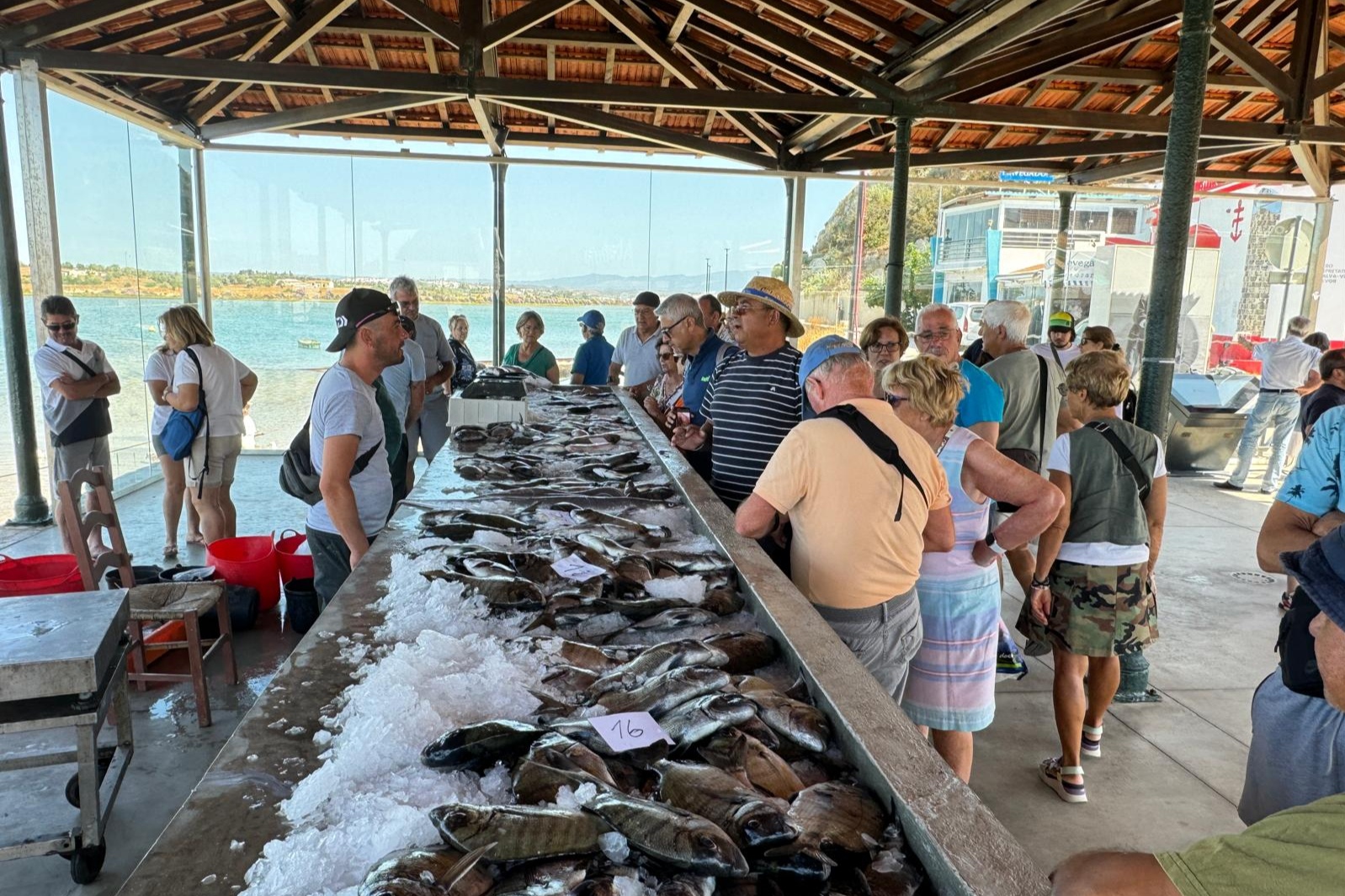 Sul Informação - Arraial, tertúlia e lota viva à antiga celebram Dia do Pescador em Alvor