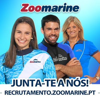recrutamento zoomarine 2025