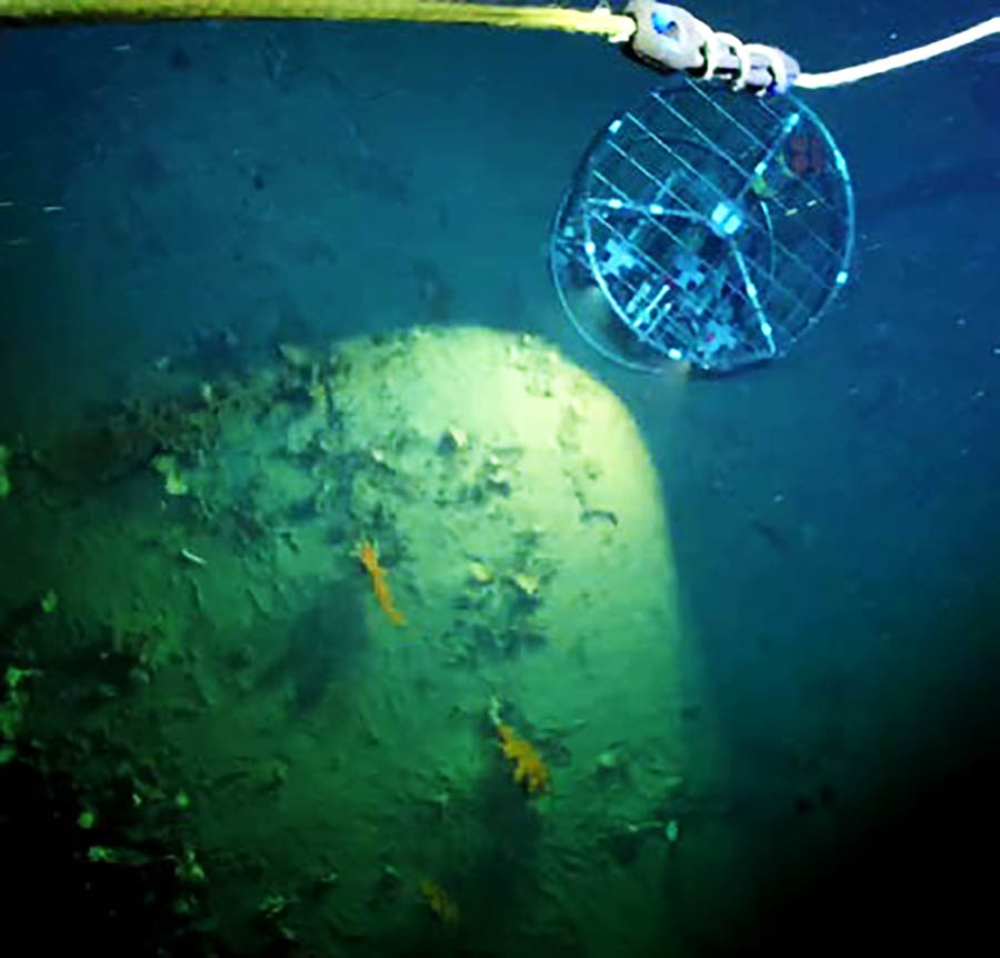 Sul Informação - Equipamento para “medir” oceano fundeado ao largo de Sagres