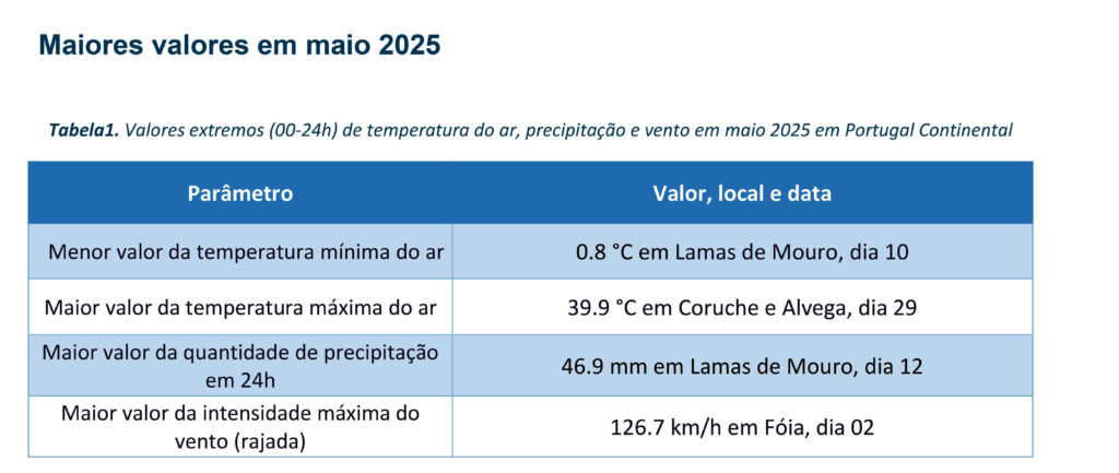 Sul Informação
