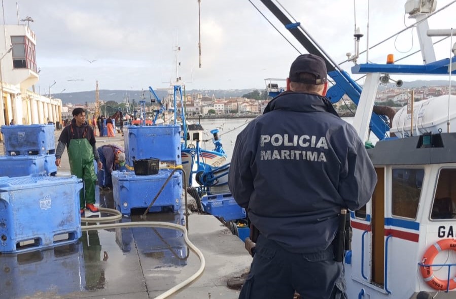 Sul Informação - Polícia Marítima detetou 12 infrações em operação de fiscalização “Sardinha 25”