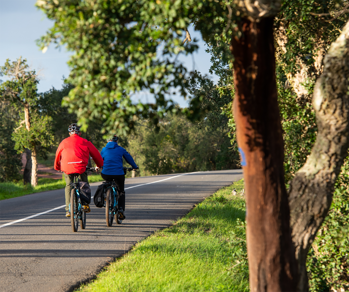 Sul Informação - Trilhos Cicláveis da Rota Vicentina estão em destaque na FEI-TUR