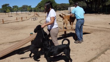 2017-149-inauguracao-parque-canino-02|2017-149-inauguracao-parque-canino-04|2017-149-inauguracao-parque-canino-03