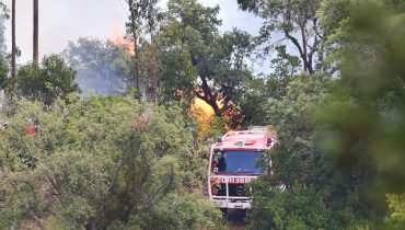 Incêndio_Monchique_Bombeiros_ni